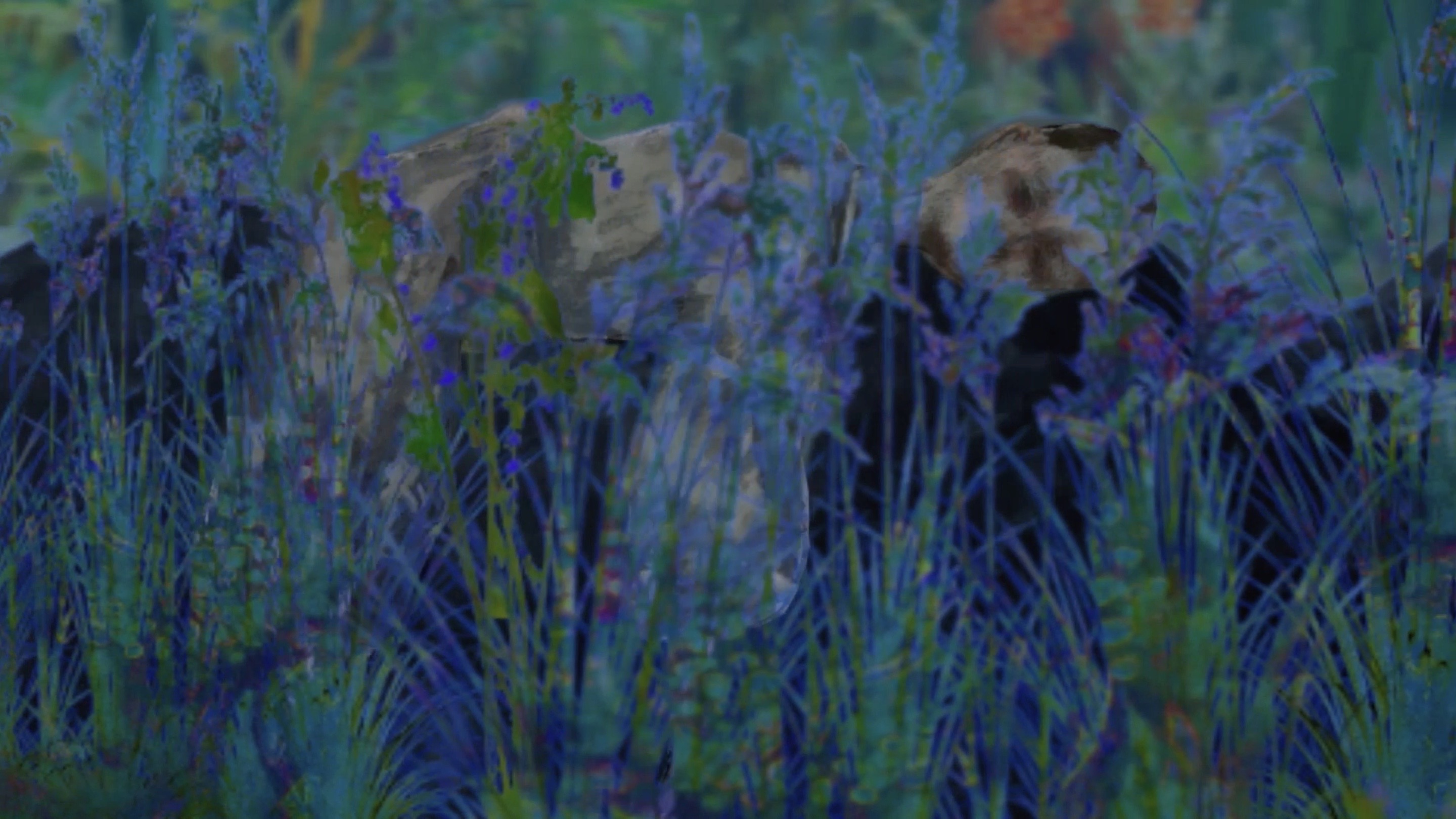 Island Afloat Asleep still 3